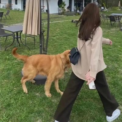 这个警校没有鬼